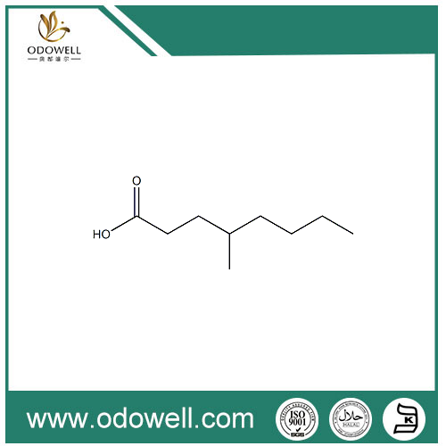 Acidum-IV Methyloctanoic