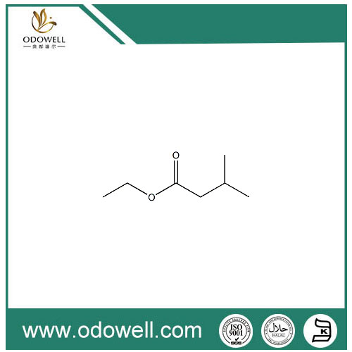 ethyl Isovalerate