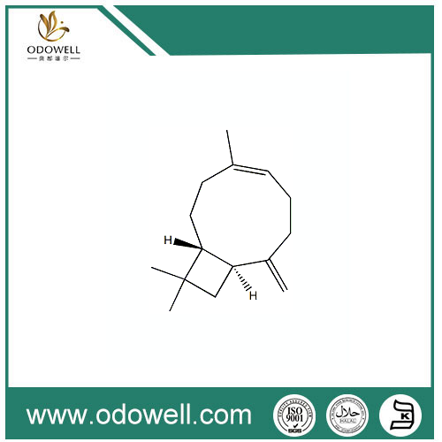 BETA CARYOPHYLLENE,