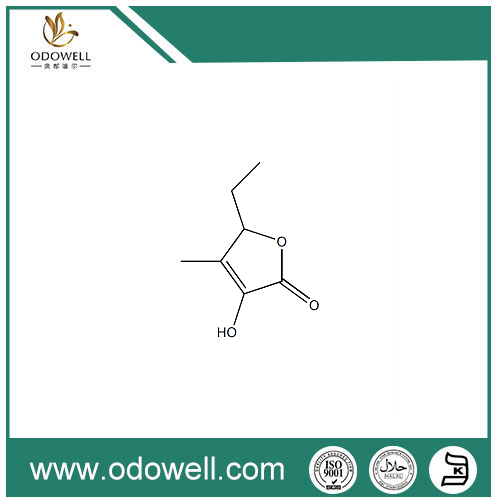 Ethyl Fenugreek Compositae