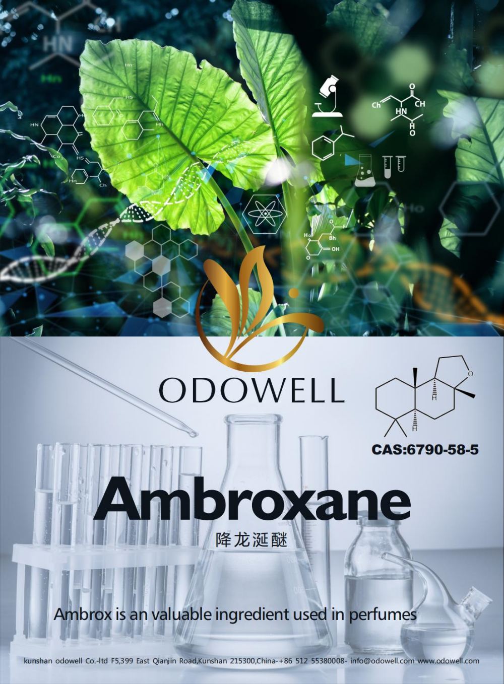 Odowell celebrat prospere anno Ambrio (Ambros)