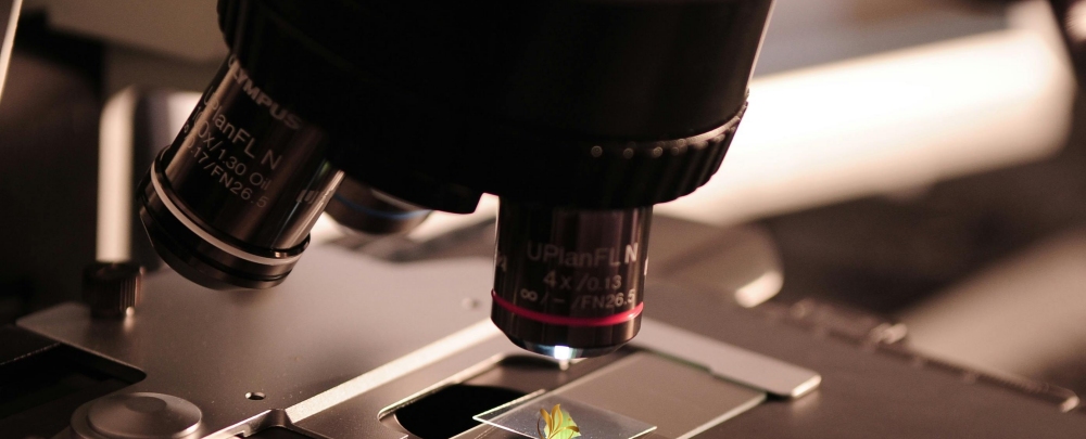 Decrypting Ambergrim: A scientific dux ad distinguendum naturale a Saccharum