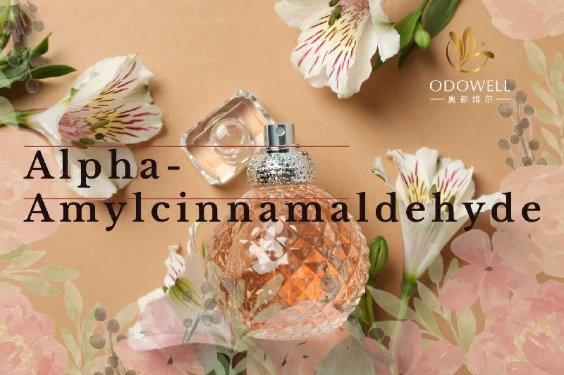 Odowell superbe Launches Premium Alpha-Amylcinnamaldehyde, elevans odorem et personalis cura innovation