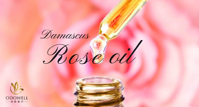 Odowell Launches Premium Natural Damascus Rose Oil
