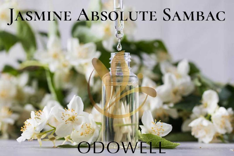 ODOWELL Aenean Absolute Sambac — A Premium Natural Everything Absolute for Unguentum and Decorem