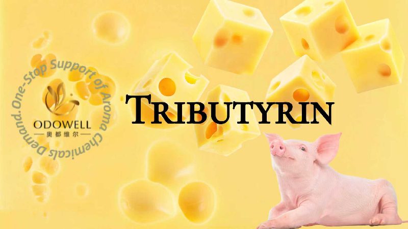 ODOWELL Introduces Tributyrin A Muneris Feed Additivum pro Gut Salutem et Digestum