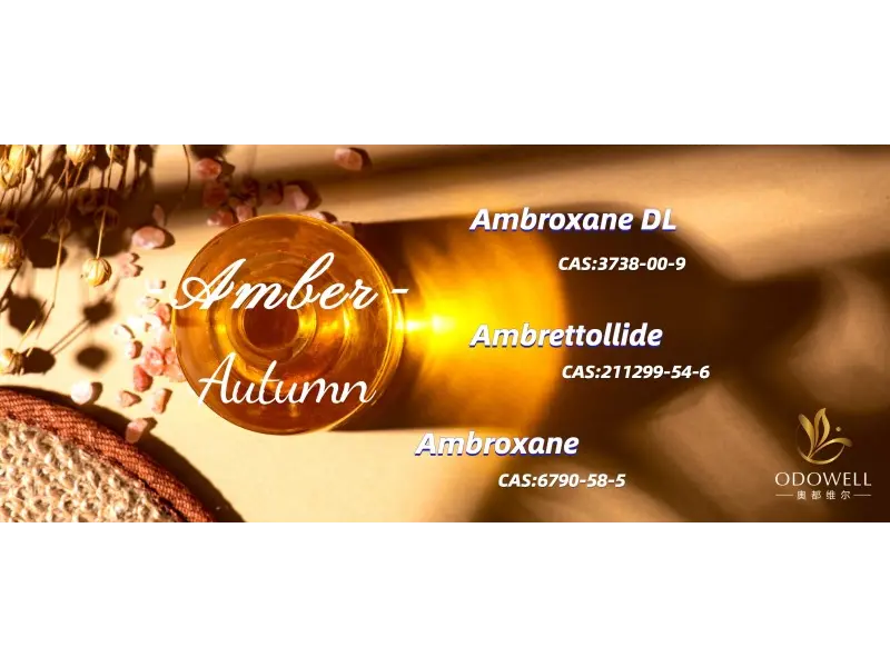 What are the Top Gender Neutral Scents for 2025