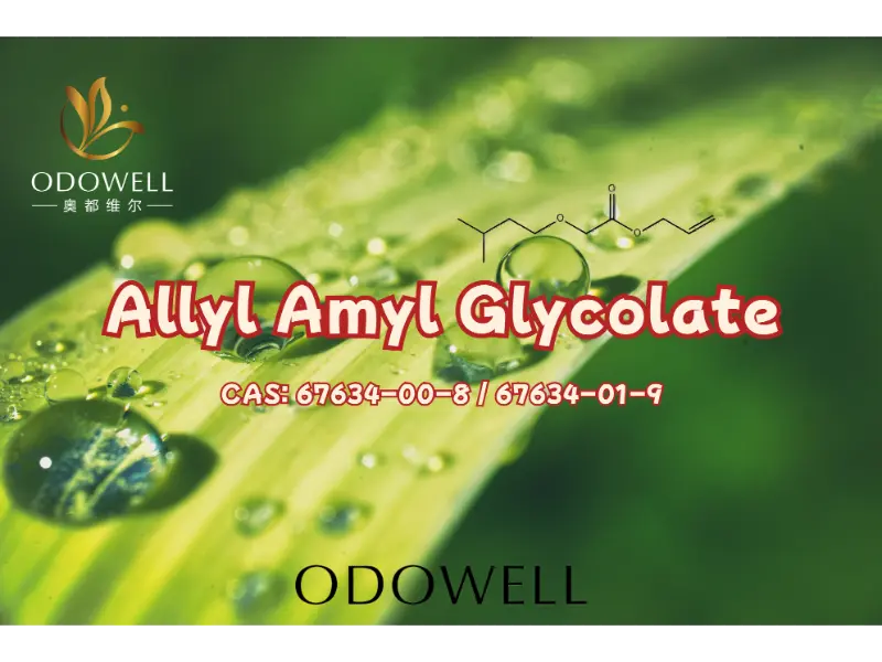 Allyl Amyl Glycolate – ODOWELL Fruitity Ester High‑Impact pro Moderni Fragrance Creation