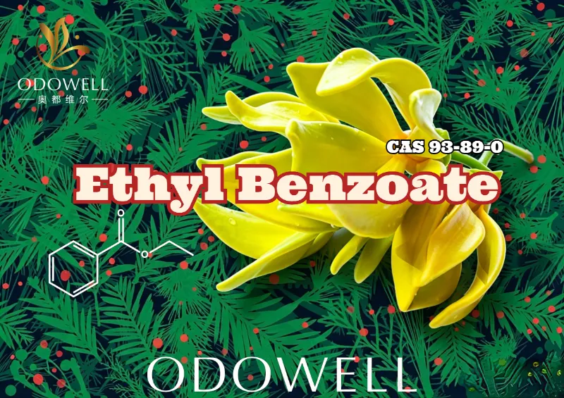 ODOWELL Launches Ethyl Benzoate: Warm Wintergreen-Ylang Ester ad Florales et Orientales Elegantiae