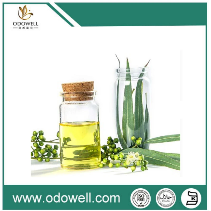 Cur Pharmaceutical Gradus in Eucalypto Olei Applications tractationem obtinent?