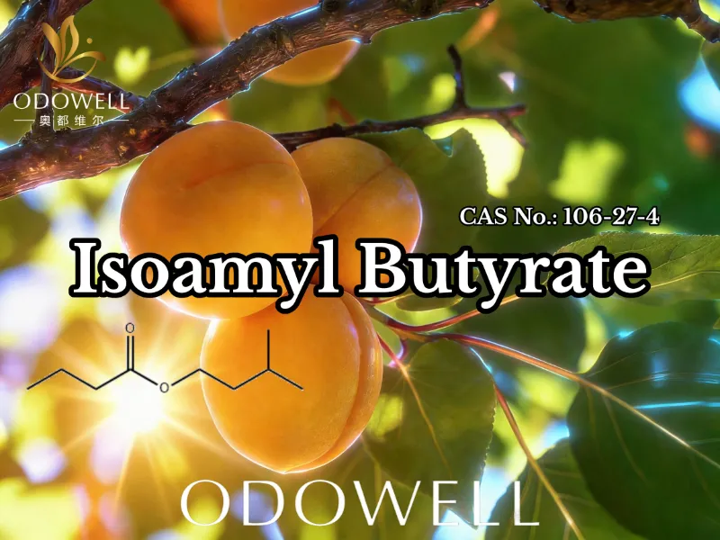 ODOWELL commendat Isoamyl Butyrate (CAS 106-27-4) Applications pro Sapori et Odore