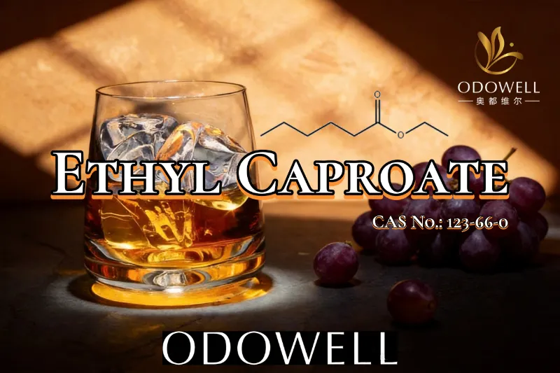 ODOWELL Suadet Ethyl Caproate pro Fruity et Vino-Saporem Applications