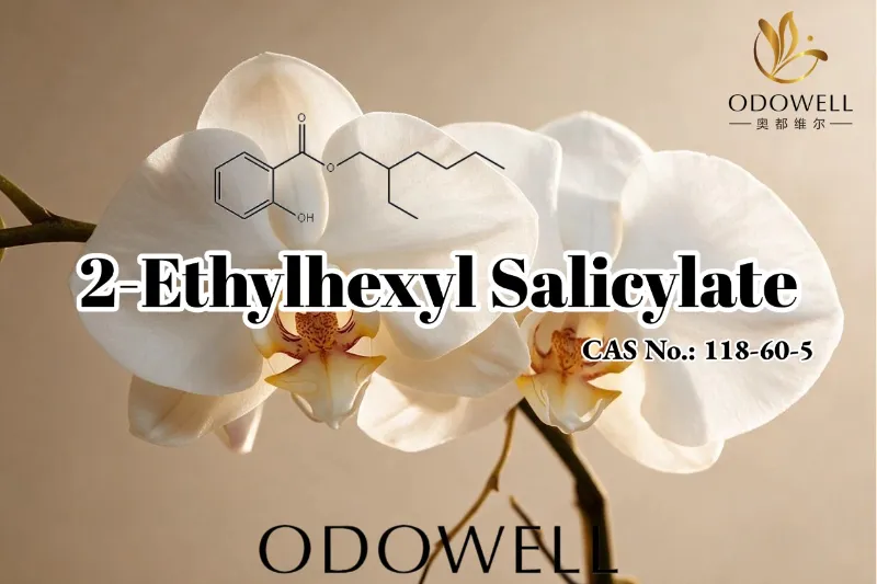 ODOWELL Suadet 2-Ethylexyl Salicylate pro Odoribus, Cosmeticis, et Applications Personalis Cura.