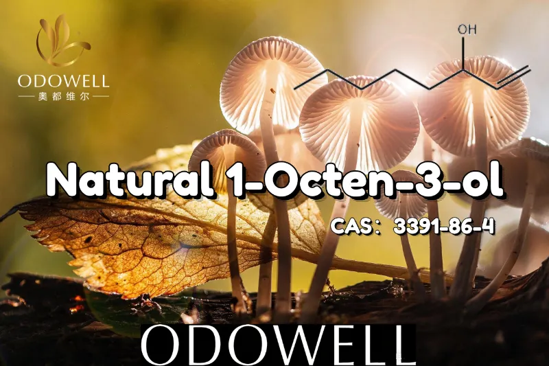 ODOWELL Commendatur Naturalis 1-Octen-3-ol pro Fungorum ac Terrestrium Saporis Applications