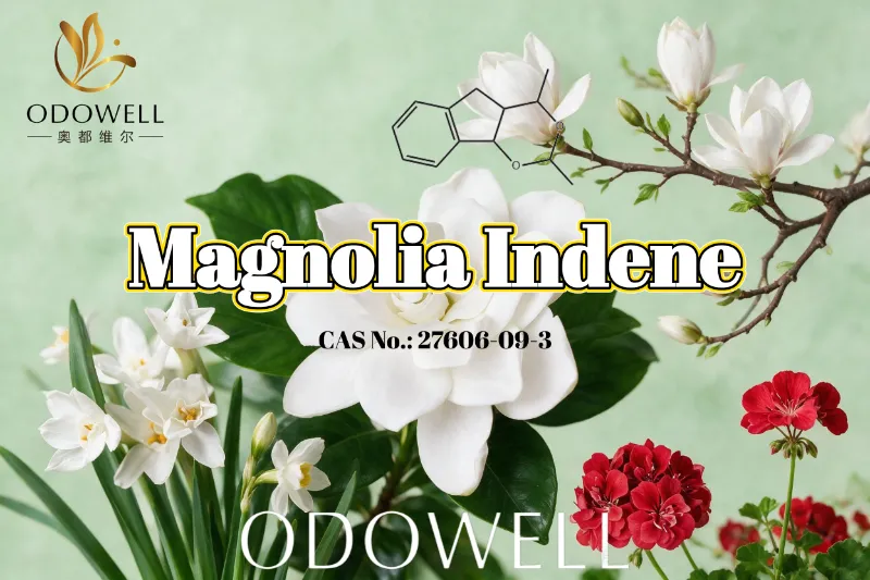 ODOWELL commendat Magnolia Indene pro recentibus Floralibus-Viridis et Citrusi Odore Applications